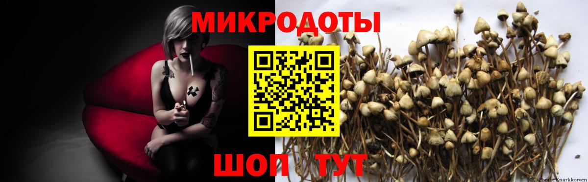 Истра  Галлюциногенные грибы GOLDEN TEACHER  Вход с VPN 