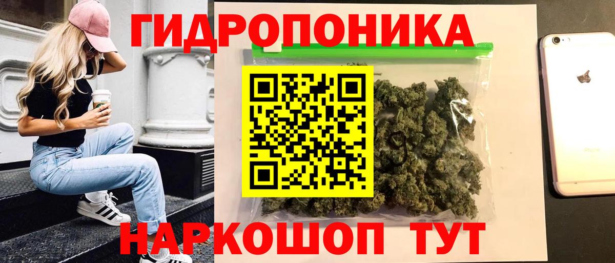 Шишки марихуана сатива  Шишки марихуана план  Шишки марихуана конопля  Вход с VPN  Бошки марихуана конопля  Истра 